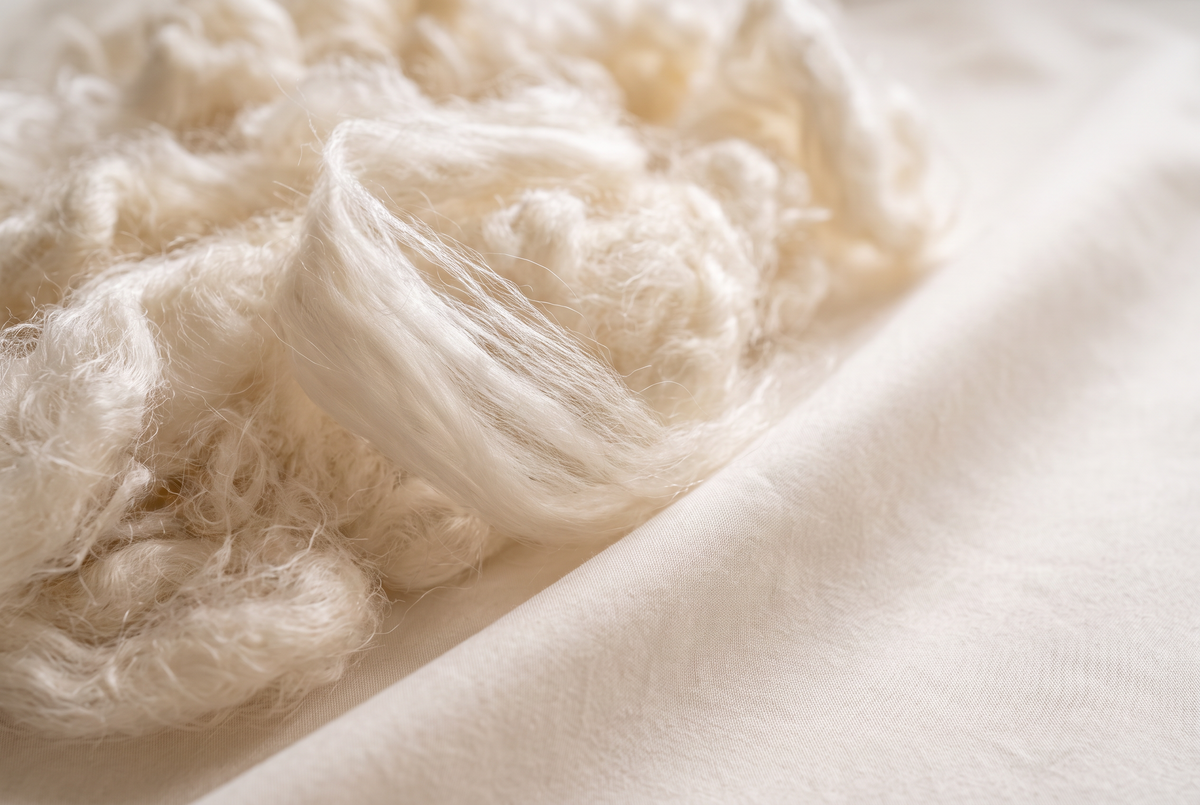 Silky wild harvested kapok fibre resting on undyed ivory cotton sateen, long wispy filaments catching soft daylight